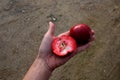 apple, is a kind of apple native to certain parts of China,