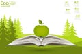Apple legit on the open book. Royalty Free Stock Photo