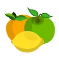 Apple, Lemon, Peach Icon. Food label, logo for Web and Banners. Cartoon Vector Illustration Royalty Free Stock Photo