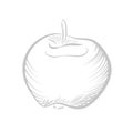 Apple line sketch, vitamin sweet fruit for eating, food ingredient for cooking