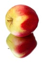 Apple lying on its side Royalty Free Stock Photo