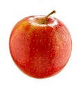 Apple fruit