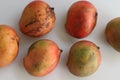 Apple mango or Ataulfo mango, is a variety of mango from the tropical regions Royalty Free Stock Photo