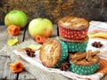 Apple muffins with cinnamon Royalty Free Stock Photo
