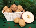 Apple nut and needles Royalty Free Stock Photo