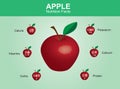 Apple nutrition facts, apple fruit with information, apple vector Royalty Free Stock Photo