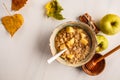 Autumn apple oatmeal with cinnamon and honey. White background, Royalty Free Stock Photo