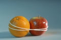 Apple and Orange Royalty Free Stock Photo