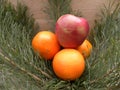 Apple and orange put on fir branches