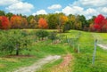 Apple orchard against beautiful autumn foliage in New England Royalty Free Stock Photo