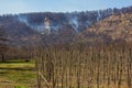 Apple orchard on a background of a hill burning in a fores.t fire on a spring day