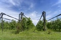 Apple Orchard With Hail Protection Nets Royalty Free Stock Photo