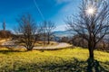 Apple orchard on the hill above the valley