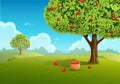 Apple orchard illustration Royalty Free Stock Photo