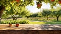 Apple orchard. Red apples on tree in garden near wood table with copy space. Harvesting apples. Summer fruits. Homemade fresh Royalty Free Stock Photo