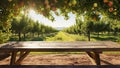 Apple orchard. Red apples on tree in garden near wood table with copy space. Harvesting apples. Summer fruits. Homemade fresh Royalty Free Stock Photo