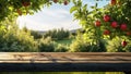 Apple orchard. Red apples on tree in garden near wood table with copy space. Harvesting apples. Summer fruits. Homemade fresh Royalty Free Stock Photo
