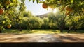 Apple orchard. Red apples on tree in garden near wood table with copy space. Harvesting apples. Summer fruits. Homemade fresh Royalty Free Stock Photo