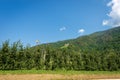 Apple Orchard in Valsugana or Sugana Valley - Trentino Italy Royalty Free Stock Photo