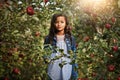 Apple orchards make cool hideouts for hide and seek. Portrait of a young girl standing amongst the foliage of an apple Royalty Free Stock Photo