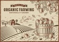 Apple Organic Farming Landscape