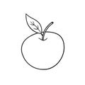 Single apple black and white illustration Royalty Free Stock Photo