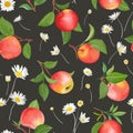 Apple pattern with daisy, autumn fruits, leaves, flowers background. Vector seamless texture Royalty Free Stock Photo