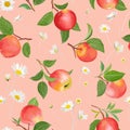 Apple pattern with daisy, tropic fruits, leaves, flowers background. Vector seamless texture illustration Royalty Free Stock Photo