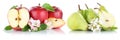 Apple and pear apples pears fruit red green fruits slice isolate Royalty Free Stock Photo