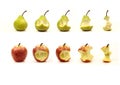 Apple and pear being eaten Royalty Free Stock Photo