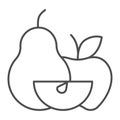 Apple with pear and apple slice thin line icon, Thanksgiving Day concept, Harvest fruit composition sign on white