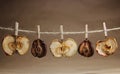 Apple and pears dried with a clothespeg Royalty Free Stock Photo