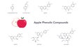 Phenolic compounds found in apples vector illustration science graphic Royalty Free Stock Photo