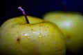 Green apple in a closeup. Apples on a black background Royalty Free Stock Photo