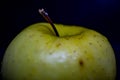 Green apple in a closeup. Apples on a black background Royalty Free Stock Photo