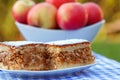 Apple pie - apple cake Royalty Free Stock Photo