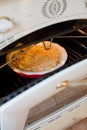 Apple pie baking in oven Royalty Free Stock Photo