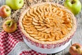 Apple pie with cottage cheese Royalty Free Stock Photo