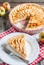 Apple pie with cottage cheese Royalty Free Stock Photo