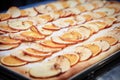 Apple pie decorated with dried orange slices and apple slices