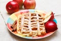 Apple Pie with Pastry Grid,Sugar Powder,Ceramic Plate with Cinnamon and Pieces of Fresh Apple