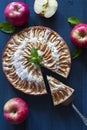 Apple pie with a piece on blue deep background Royalty Free Stock Photo