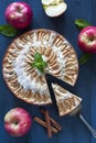 Apple pie with a piece and cinnamon sticks Royalty Free Stock Photo