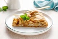 Apple pie slice with cinnamon and lemon zest on a plate Royalty Free Stock Photo