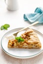 Apple pie slice with cinnamon and lemon zest on a plate Royalty Free Stock Photo