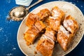 Apple pie strudel on plate, sifter and sugar. Royalty Free Stock Photo