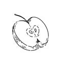 apple piece sketch hand drawn vector