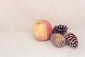 Apple and pinecones on a white background