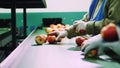 in an apple processing factory, workers in gloves sort apples. Ripe apples sorting by size and color, then packing Royalty Free Stock Photo