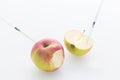 Apple with punched needles and syringes as a concept for modified food white background Royalty Free Stock Photo